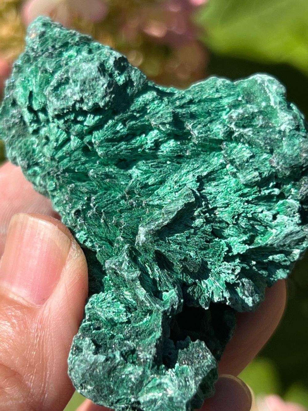 Malachite (12) specimen with stand | crystal